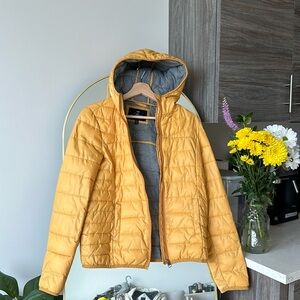 Yellow Jacket